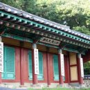 조견사우 이미지