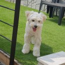 멍스테이션 이미지