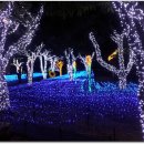 거북공원-2　 이미지