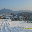 소나무(산촌마을) 이미지