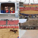 오천축사 | 청도 소싸움 경기 일정 및 관람 방법 총정리｜운영 시간·좌석·주차 팁