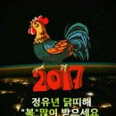 네트리스