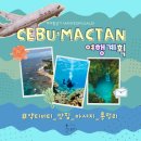 [남부] (야간)간단한끼요리(2025) | 세부 막탄 가서 뭐하지 | 액티비티 맛집 마사지 총정리