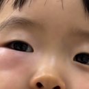 라메종의원 이미지