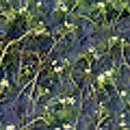 슬항2리 이미지