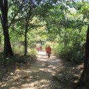 수향주유소 이미지