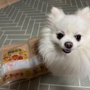 도그마캣의왕내손점 | 의왕애견용품 습식사료추천 도그마캣 의왕내손점