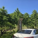 용곡농장 이미지