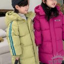 대성 이미지