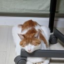 아이조아요양보호소 동탄점 이미지