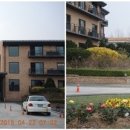 DMZ, 평화의 편지 이미지