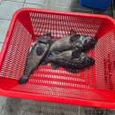 황산초지사계절바다낚시터 이미지