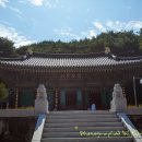 북장사 영산회 괘불탱 | 경북 상주 - 북장사(北長寺)