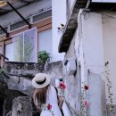 안녕 댕댕아 이미지