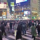 스카이 | 시부야 스카이 후기｜예약 팁부터 야경, 전날 취소표로 다녀온 후기