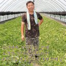 금빛푸드 이미지