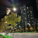 운남로184번길 이미지