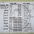 청년손세차