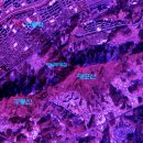 우면산5-5 이미지