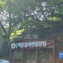 [양평 숙소] 양평백운봉자연휴양림 하늘마루1 2박3일 후기
