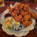 석천로183번길·석천로184번길 | [금별맥주]부천 중동 현백 부천시청 술집 추천,안주 맛집,크리스피치킨 후기