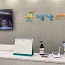 처음가는소아치과의원 이미지