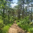 일부1리 이미지