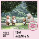 임고강변공원 공중화장실(1 여) | 영천 노지 캠핑장 물놀이 가능한 곰들덤공원