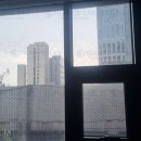 햇빛치과 네이버블로그
