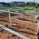 대지 태양광발전소 이미지