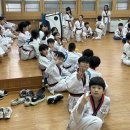 서초용인대태권도 이미지