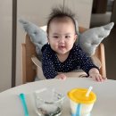 이유식 시작 시기와 초기 중기 후기 준비물 리스트 파일 공유