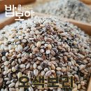 보리 - 중구 | 보리