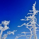 동화나라 이미지