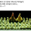 12일 수욜~~~초복날 출석해봅시다^^ 이미지