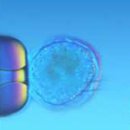 오늘 100분토론 - 황우석교수 연구 윤리 논란 긴급편성 이미지