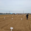 마정1농장 이미지