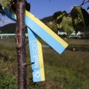 보통2리 마을회관 이미지