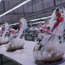 화이트홀 이미지