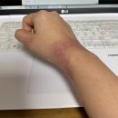 임펙트 PC방 | 12월, 먹기바쁜 예비신부의 일상