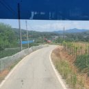 팔성2리 이미지