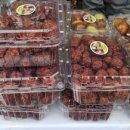 간디숲속마을 협동조합 이미지