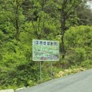 앞뜰농장 | 원주시 신림면 고려산삼발효영농조합법인 방문&amp; 산양산삼 시식 후기