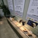 정가농장 | 용인 곤충테마파크 후기｜아이와 즐기는 곤충 체험과 동물농장까지
