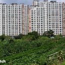 부동산 생활법률과 자산관리 활용 이미지