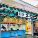 지지고인제점 | 설악워터피아 오후권으로 사우나까지 알차게