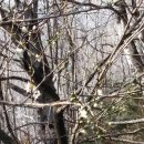 해오름길 이미지