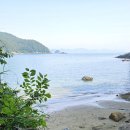 마레미오 이미지