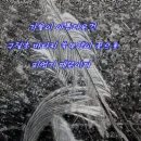 양재천근린공원 이미지