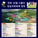 전북 10월 가족 나들이 임실치즈테마파크 국화 축제 좋은 점과 아쉬운 점 현장 후기